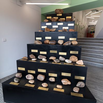 EXPOCañadaenelCentro_foto02